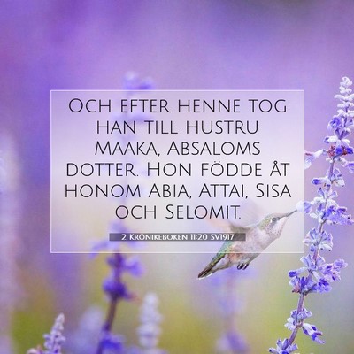 Picture 07 - 2 Krönikeboken 11:20 SV1917 - Och efter henne tog han till hustru Maaka, - Bible Verse Picture