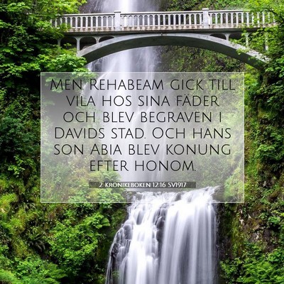 Picture 07 - 2 Krönikeboken 12:16 SV1917 - Men Rehabeam gick till vila hos sina fäder och - Bible Verse Picture