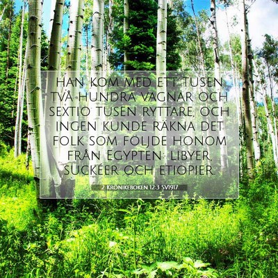 Picture 07 - 2 Krönikeboken 12:3 SV1917 - han kom med ett tusen två hundra vagnar och - Bible Verse Picture