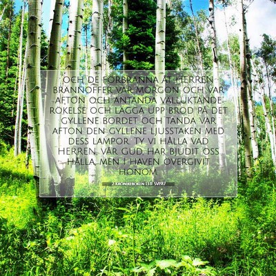 Picture 07 - 2 Krönikeboken 13:11 SV1917 - och de förbränna åt HERREN brännoffer var - Bible Verse Picture