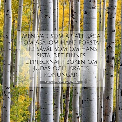 Picture 07 - 2 Krönikeboken 16:11 SV1917 - Men vad som är att säga om Asa, om hans första - Bible Verse Picture