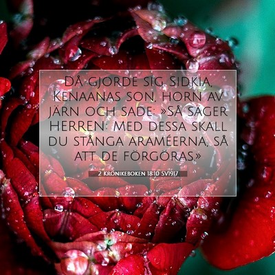 Picture 07 - 2 Krönikeboken 18:10 SV1917 - Då gjorde sig Sidkia, Kenaanas son, horn av - Bible Verse Picture