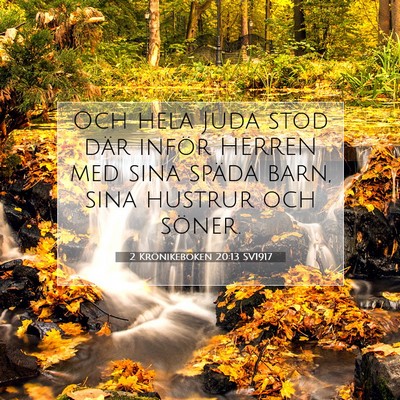 Picture 07 - 2 Krönikeboken 20:13 SV1917 - Och hela Juda stod där inför HERREN med sina - Bible Verse Picture