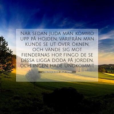 Picture 07 - 2 Krönikeboken 20:24 SV1917 - När sedan Juda män kommo upp på höjden, - Bible Verse Picture