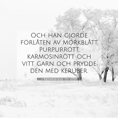 Picture 07 - 2 Krönikeboken 3:14 SV1917 - Och han gjorde förlåten av mörkblått, - Bible Verse Picture