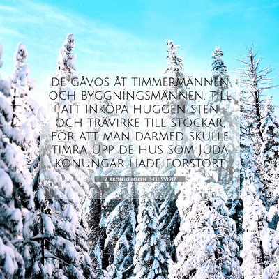Picture 07 - 2 Krönikeboken 34:11 SV1917 - de gåvos åt timmermännen och byggningsmännen, - Bible Verse Picture