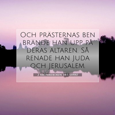 Picture 07 - 2 Krönikeboken 34:5 SV1917 - Och prästernas ben brände han upp på deras - Bible Verse Picture