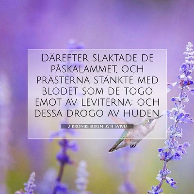 Picture 07 - 2 Krönikeboken 35:11 SV1917 - Därefter slaktade de påskalammet, och - Bible Verse Picture