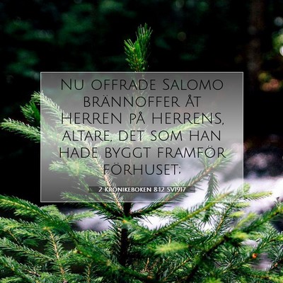Picture 07 - 2 Krönikeboken 8:12 SV1917 - Nu offrade Salomo brännoffer åt HERREN på - Bible Verse Picture