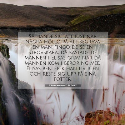 Picture 07 - 2 Kungaboken 13:21 SV1917 - Så hände sig, att just när några höllo på - Bible Verse Picture