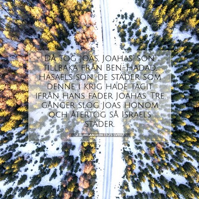 Picture 07 - 2 Kungaboken 13:25 SV1917 - Då tog Joas, Joahas' son, tillbaka från - Bible Verse Picture