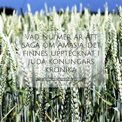 Picture 07 - 2 Kungaboken 14:18 SV1917 - Vad nu mer är att säga om Amasja, det finnes - Bible Verse Picture