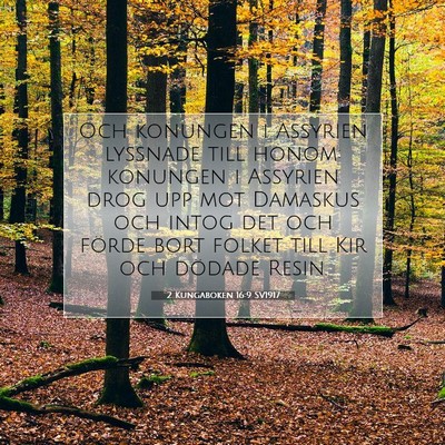 Picture 07 - 2 Kungaboken 16:9 SV1917 - Och konungen i Assyrien lyssnade till honom: - Bible Verse Picture