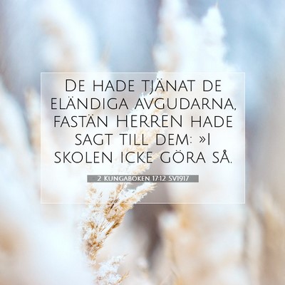 Picture 07 - 2 Kungaboken 17:12 SV1917 - De hade tjänat de eländiga avgudarna, fastän - Bible Verse Picture