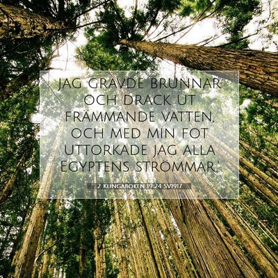 Picture 07 - 2 Kungaboken 19:24 SV1917 - jag grävde brunnar och drack ut främmande - Bible Verse Picture