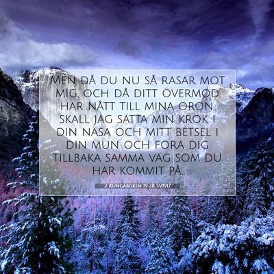 Picture 07 - 2 Kungaboken 19:28 SV1917 - Men då du nu så rasar mot mig, och då ditt - Bible Verse Picture