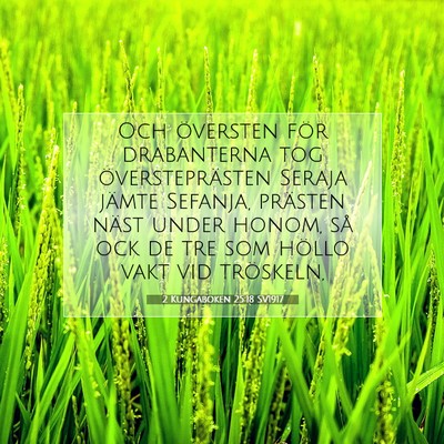Picture 07 - 2 Kungaboken 25:18 SV1917 - Och översten för drabanterna tog - Bible Verse Picture