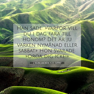 Picture 07 - 2 Kungaboken 4:23 SV1917 - Han sade: »Varför vill du i dag fara till - Bible Verse Picture