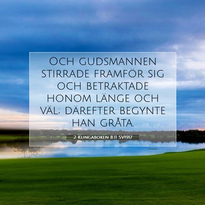 Picture 07 - 2 Kungaboken 8:11 SV1917 - Och gudsmannen stirrade framför sig och - Bible Verse Picture