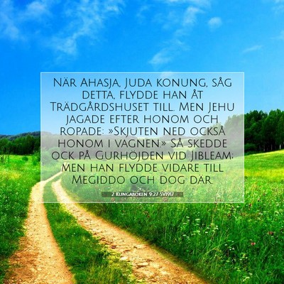 Picture 07 - 2 Kungaboken 9:27 SV1917 - När Ahasja, Juda konung, såg detta, flydde han - Bible Verse Picture