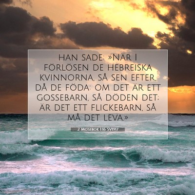 Picture 07 - 2 Mosebok 1:16 SV1917 - han sade: »När I förlösen de hebreiska - Bible Verse Picture