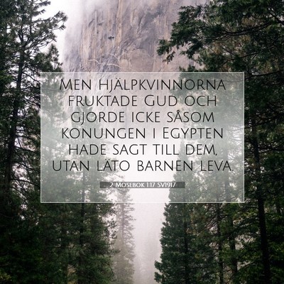 Picture 07 - 2 Mosebok 1:17 SV1917 - Men hjälpkvinnorna fruktade Gud och gjorde icke - Bible Verse Picture