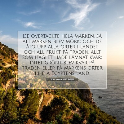 Picture 07 - 2 Mosebok 10:15 SV1917 - De övertäckte hela marken, så att marken blev - Bible Verse Picture