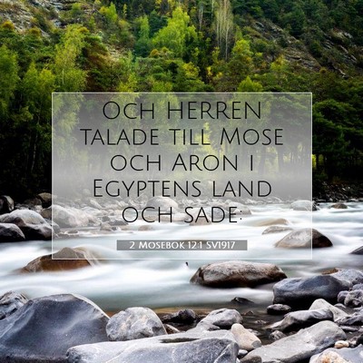 Picture 07 - 2 Mosebok 12:1 SV1917 - Och HERREN talade till Mose och Aron i Egyptens - Bible Verse Picture