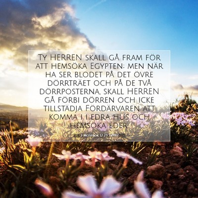 Picture 07 - 2 Mosebok 12:23 SV1917 - Ty HERREN skall gå fram för att hemsöka - Bible Verse Picture