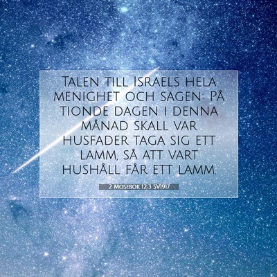 Picture 07 - 2 Mosebok 12:3 SV1917 - Talen till Israels hela menighet och sägen: På - Bible Verse Picture