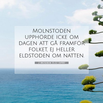 Picture 07 - 2 Mosebok 13:22 SV1917 - Molnstoden upphörde icke om dagen att gå - Bible Verse Picture