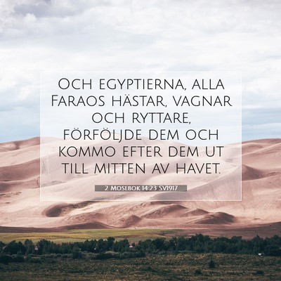 Picture 07 - 2 Mosebok 14:23 SV1917 - Och egyptierna, alla Faraos hästar, vagnar och - Bible Verse Picture