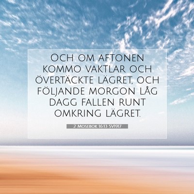 Picture 07 - 2 Mosebok 16:13 SV1917 - Och om aftonen kommo vaktlar och övertäckte - Bible Verse Picture