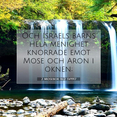 Picture 07 - 2 Mosebok 16:2 SV1917 - Och Israels barns hela menighet knorrade emot - Bible Verse Picture