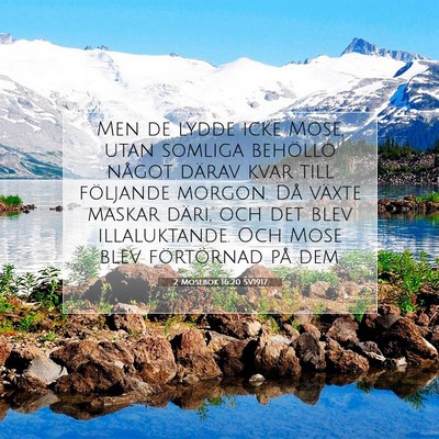 Picture 07 - 2 Mosebok 16:20 SV1917 - Men de lydde icke Mose, utan somliga behöllo - Bible Verse Picture