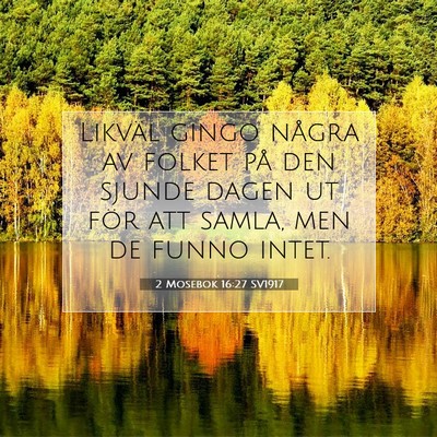 Picture 07 - 2 Mosebok 16:27 SV1917 - Likväl gingo några av folket på den sjunde - Bible Verse Picture