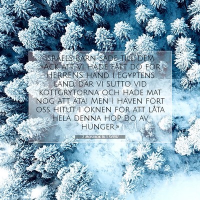 Picture 07 - 2 Mosebok 16:3 SV1917 - Israels barn sade till dem: »Ack att vi hade - Bible Verse Picture