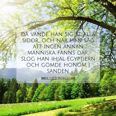 Picture 07 - 2 Mosebok 2:12 SV1917 - då vände han sig åt alla sidor, och när han - Bible Verse Picture