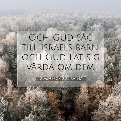 Picture 07 - 2 Mosebok 2:25 SV1917 - Och Gud såg till Israels barn, och Gud lät sig - Bible Verse Picture