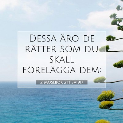 Picture 07 - 2 Mosebok 21:1 SV1917 - Dessa äro de rätter som du skall förelägga - Bible Verse Picture