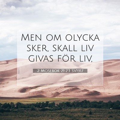Picture 07 - 2 Mosebok 21:23 SV1917 - Men om olycka sker, skall liv givas för - Bible Verse Picture