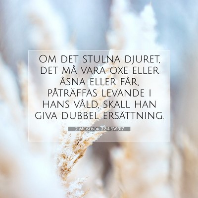 Picture 07 - 2 Mosebok 22:4 SV1917 - Om det stulna djuret, det må vara oxe eller - Bible Verse Picture