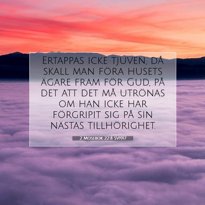 Picture 07 - 2 Mosebok 22:8 SV1917 - Ertappas icke tjuven, då skall man föra husets - Bible Verse Picture
