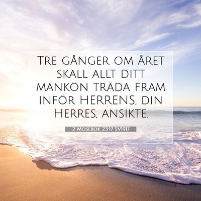 Picture 07 - 2 Mosebok 23:17 SV1917 - Tre gånger om året skall allt ditt mankön - Bible Verse Picture
