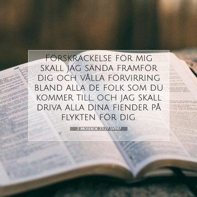Picture 07 - 2 Mosebok 23:27 SV1917 - Förskräckelse för mig skall jag sända - Bible Verse Picture