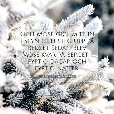 Picture 07 - 2 Mosebok 24:18 SV1917 - Och Mose gick mitt in i skyn och steg upp på - Bible Verse Picture