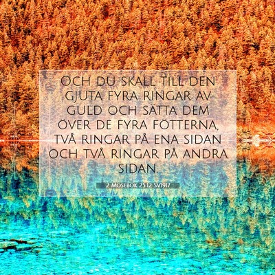 Picture 07 - 2 Mosebok 25:12 SV1917 - Och du skall till den gjuta fyra ringar av guld - Bible Verse Picture