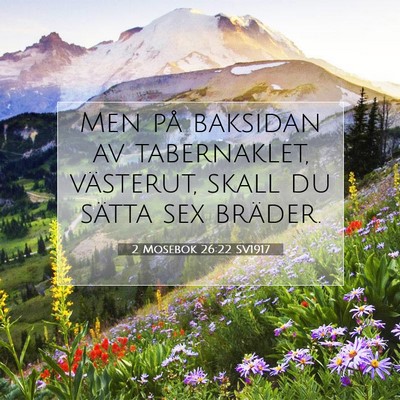 Picture 07 - 2 Mosebok 26:22 SV1917 - Men på baksidan av tabernaklet, västerut, skall - Bible Verse Picture