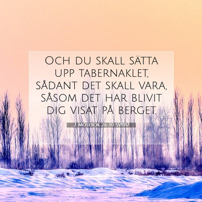 Picture 07 - 2 Mosebok 26:30 SV1917 - Och du skall sätta upp tabernaklet, sådant det - Bible Verse Picture