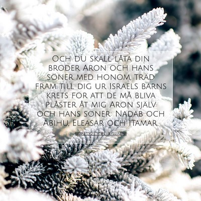 Picture 07 - 2 Mosebok 28:1 SV1917 - Och du skall låta din broder Aron och hans - Bible Verse Picture